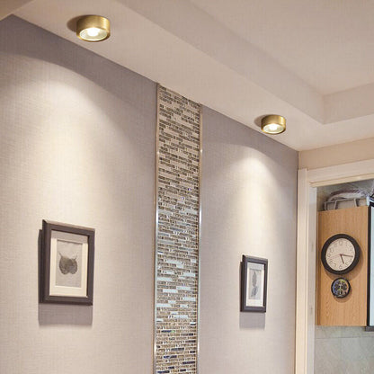 Modern Gold Round LED Ceiling Light