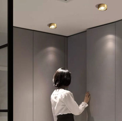 Modern Gold Round LED Ceiling Light
