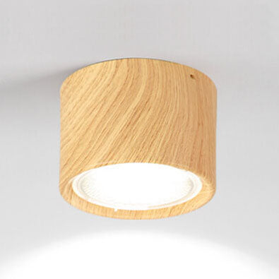 Modern Minimalist LED Ceiling Spotlight