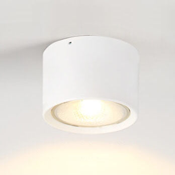 Modern Minimalist LED Ceiling Spotlight
