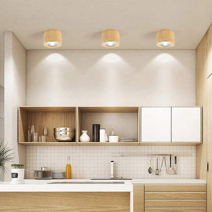 Modern Minimalist LED Ceiling Spotlight
