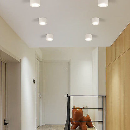 Modern Minimalist LED Ceiling Spotlight