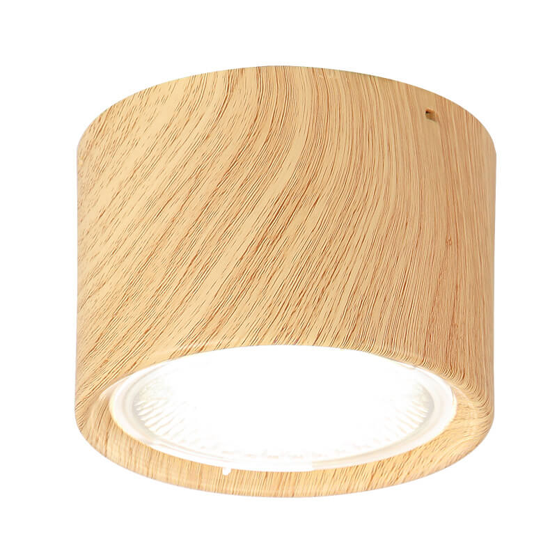 Modern Minimalist LED Ceiling Spotlight