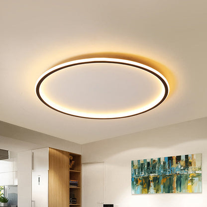 Disc LED Flush Mount Ceiling Light