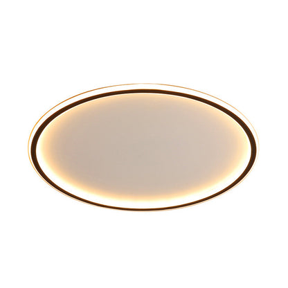 Disc LED Flush Mount Ceiling Light