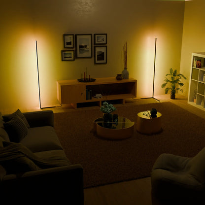 Luminous RGB Floor Lamp