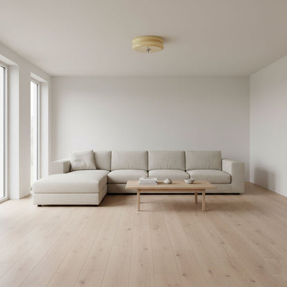 Vintage Art Deco Ceiling Light