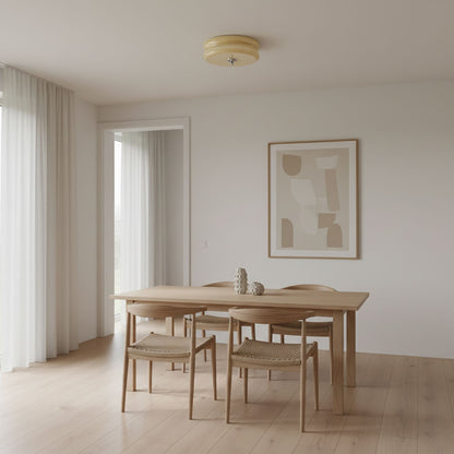 Vintage Art Deco Ceiling Light