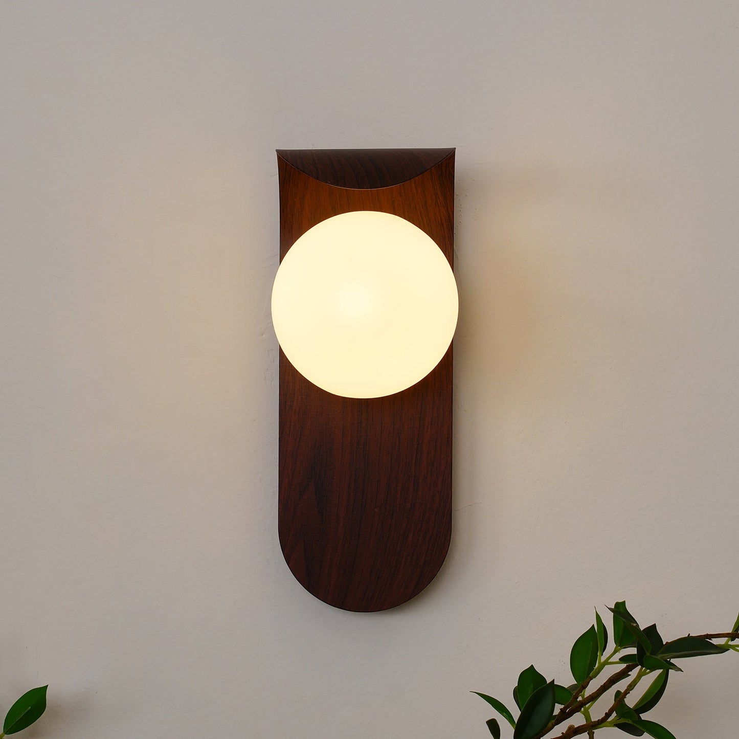 Curved Wood Globe Wall Sconce