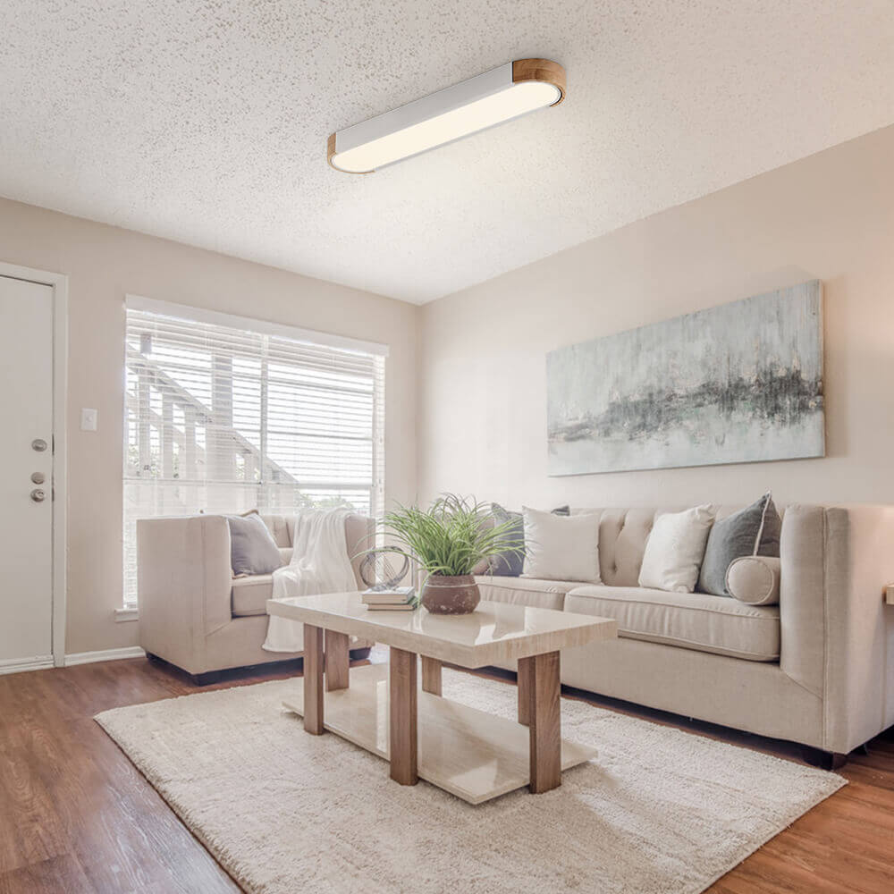 Minimalist Oval LED Flush Mount Light