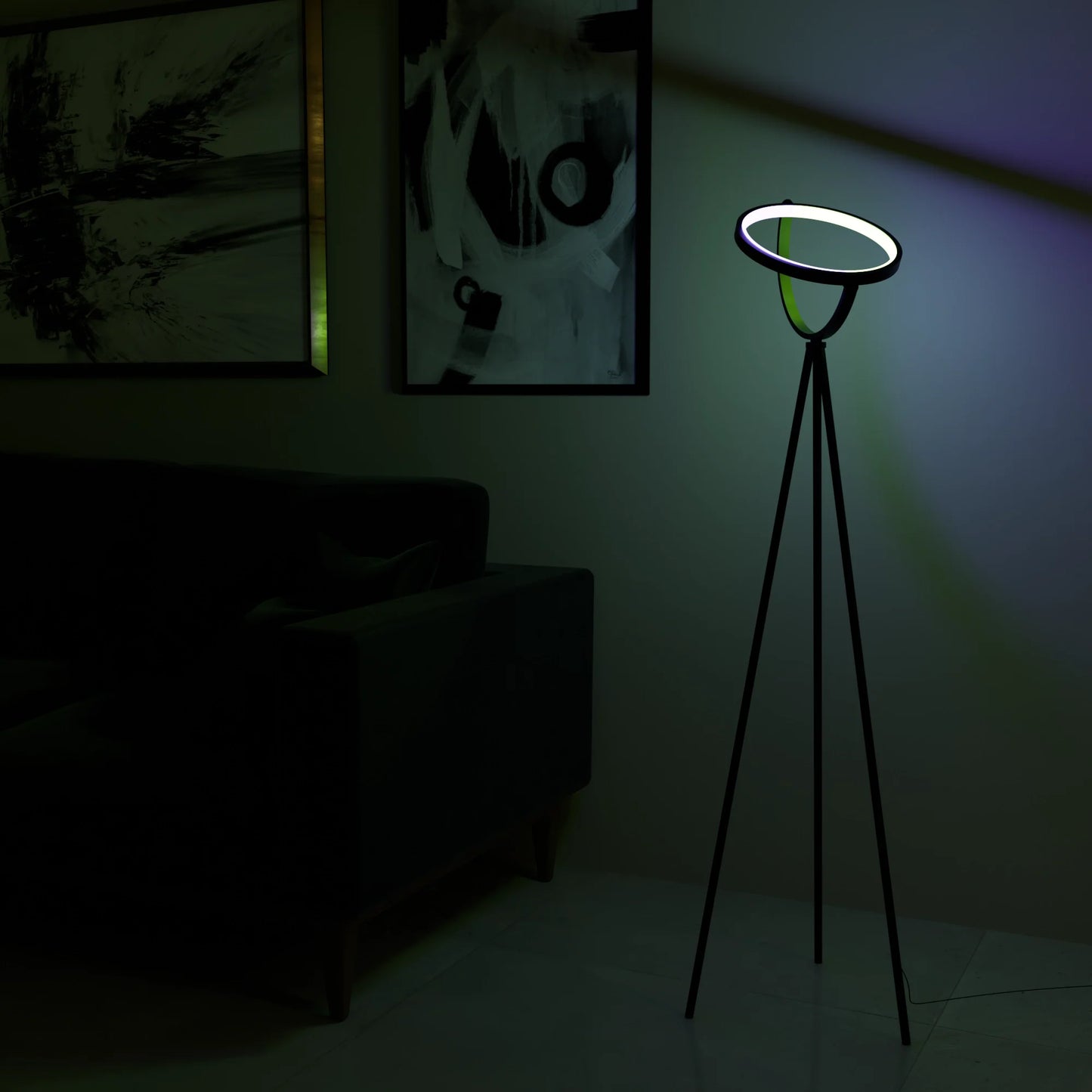 Modern LED Floor Lamp