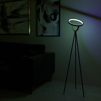 Modern LED Floor Lamp