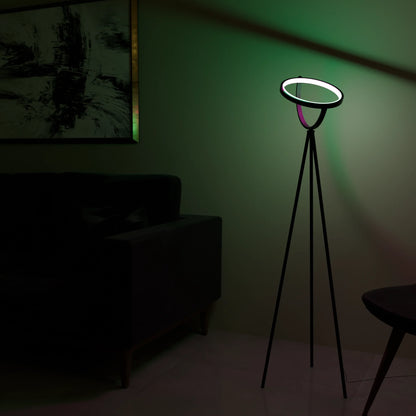 Modern LED Floor Lamp