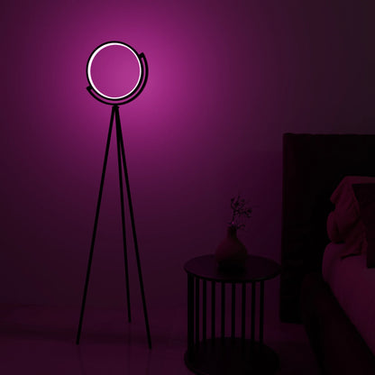 Modern LED Floor Lamp