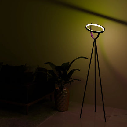 Modern LED Floor Lamp