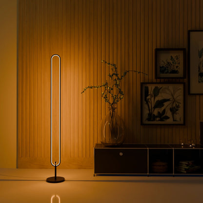 Infinity LED Floor Lamp