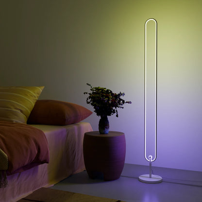 Infinity LED Floor Lamp