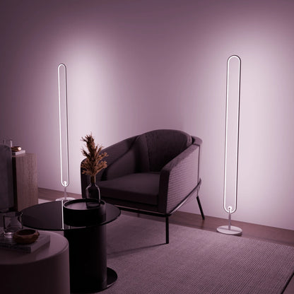 Infinity LED Floor Lamp