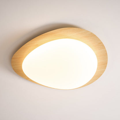 Halo Drift Ceiling Light