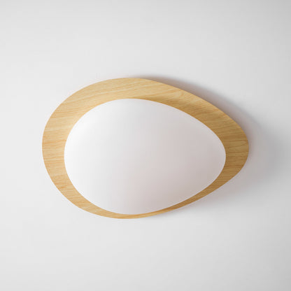 Halo Drift Ceiling Light