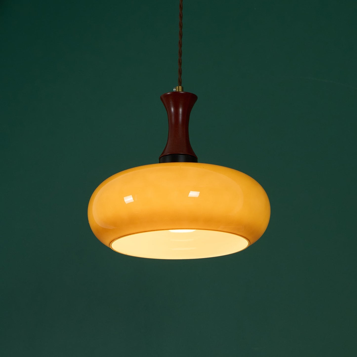 Luna Glass Plug In Pendant Light
