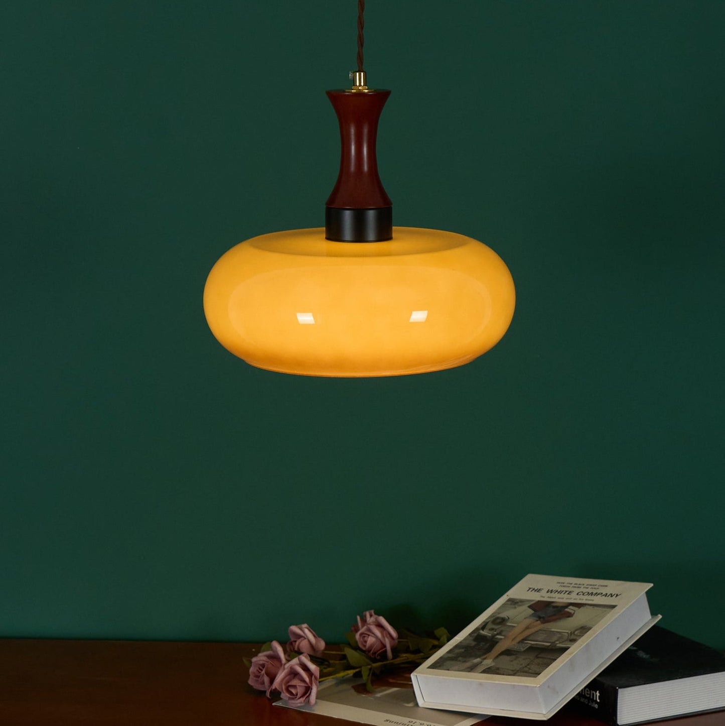 Luna Glass Plug In Pendant Light