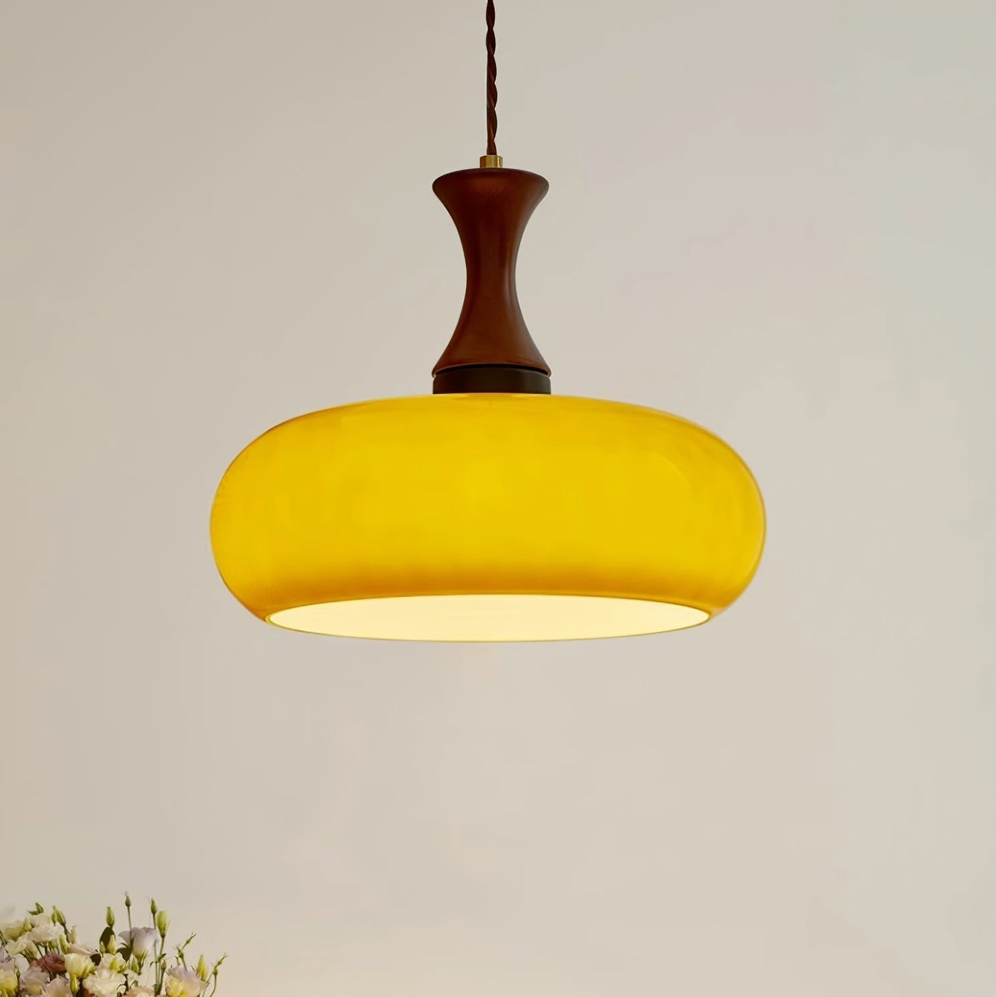 Luna Glass Plug In Pendant Light