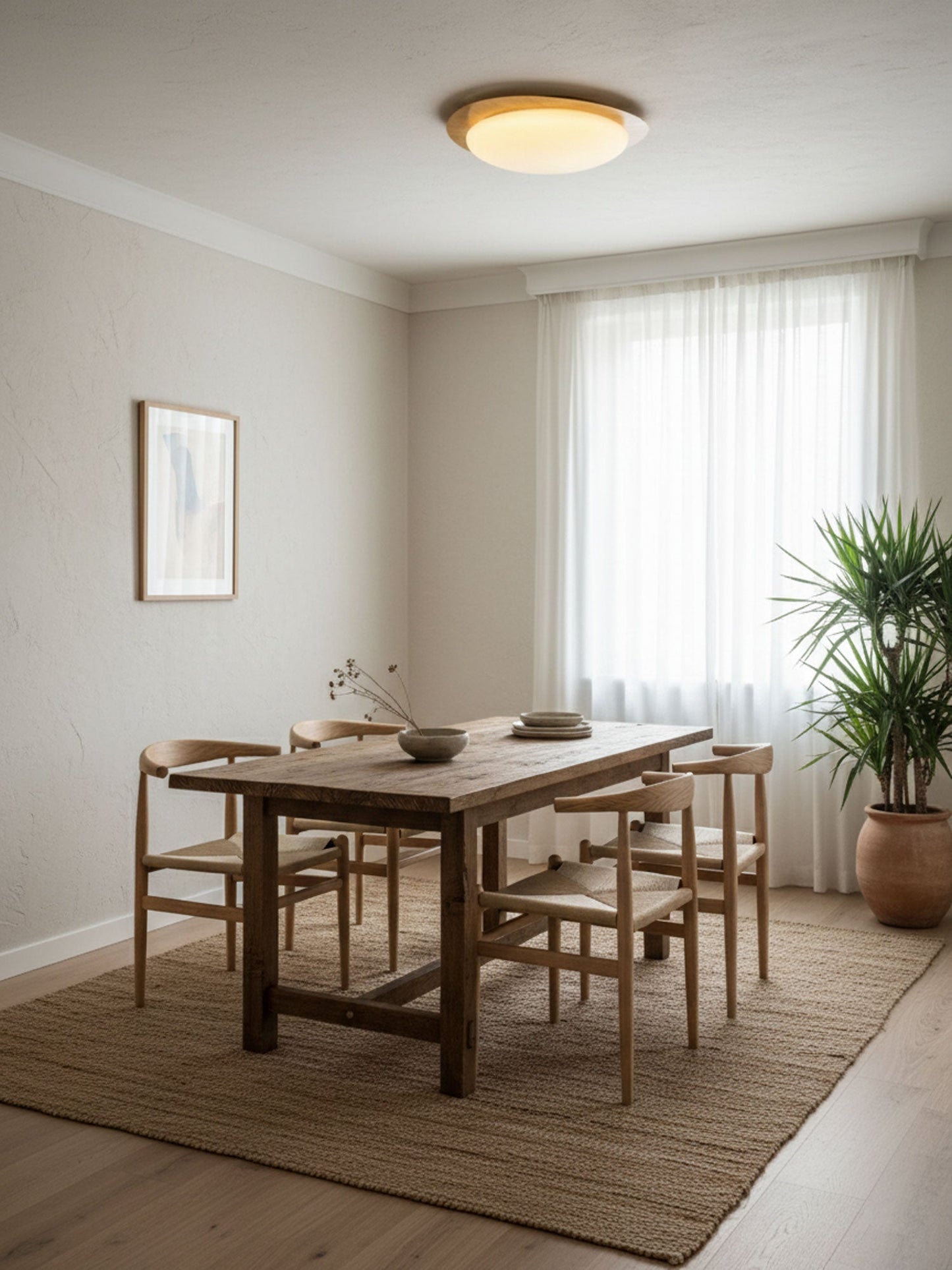 Halo Drift Ceiling Light