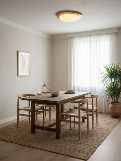 Halo Drift Ceiling Light