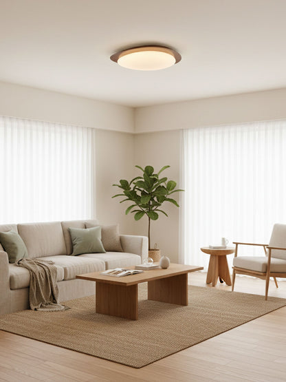 Halo Drift Ceiling Light