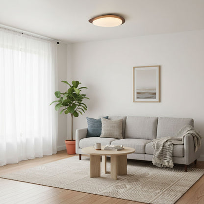 Halo Drift Ceiling Light