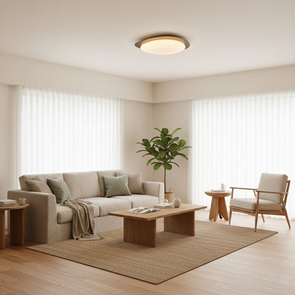 Halo Drift Ceiling Light