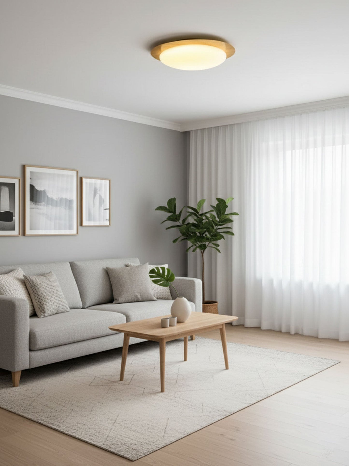 Halo Drift Ceiling Light