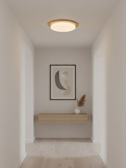 Halo Drift Ceiling Light
