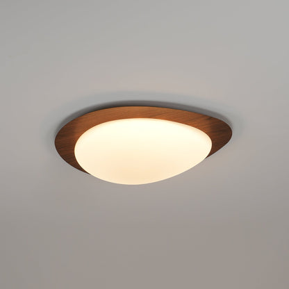 Halo Drift Ceiling Light