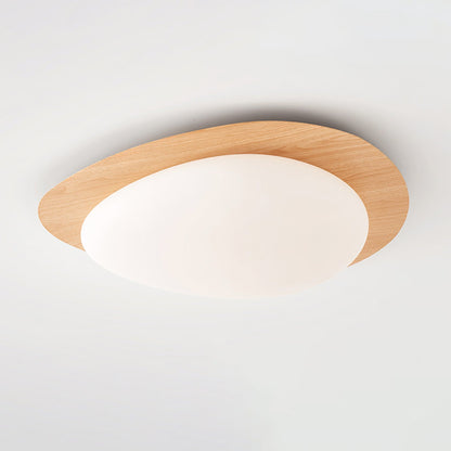 Halo Drift Ceiling Light