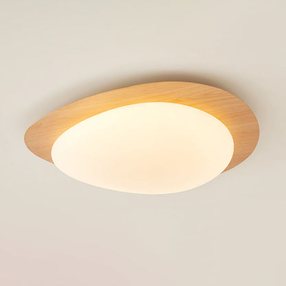 Halo Drift Ceiling Light