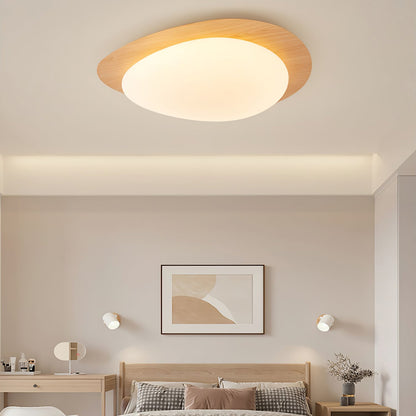 Halo Drift Ceiling Light