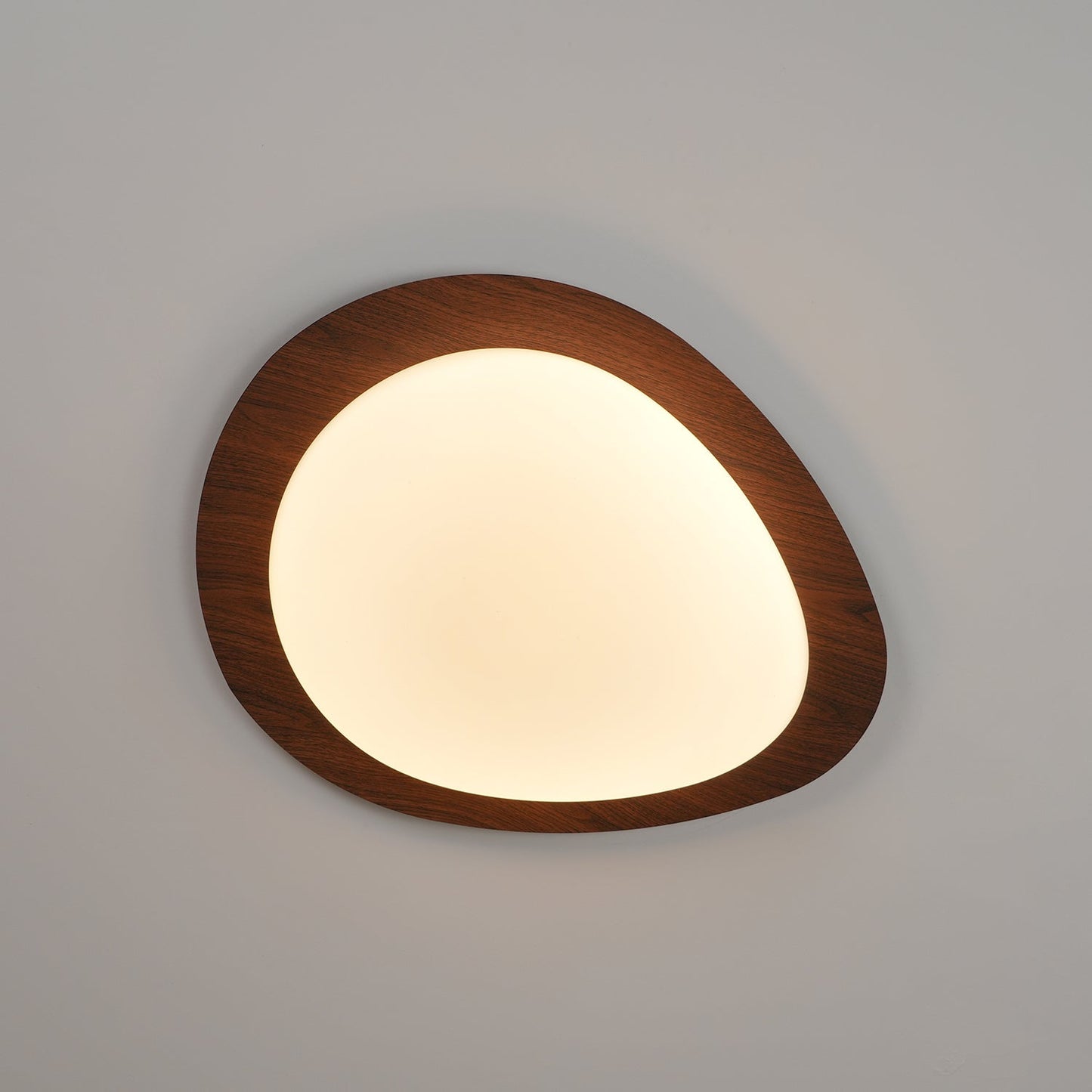 Halo Drift Ceiling Light