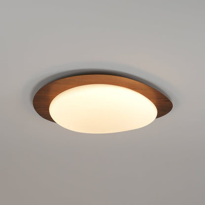 Halo Drift Ceiling Light