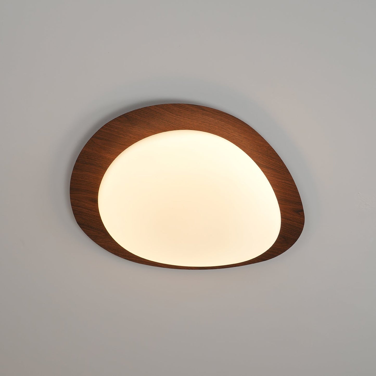 Halo Drift Ceiling Light
