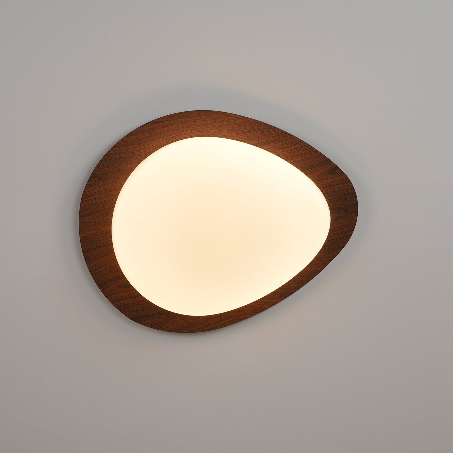 Halo Drift Ceiling Light
