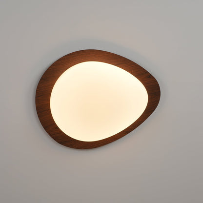 Halo Drift Ceiling Light