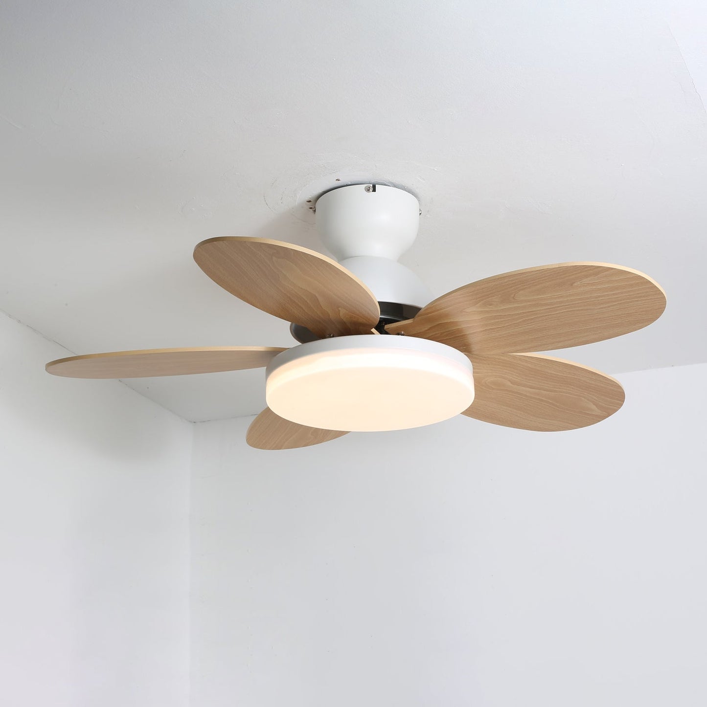 Petal Breeze Ceiling Fan Light