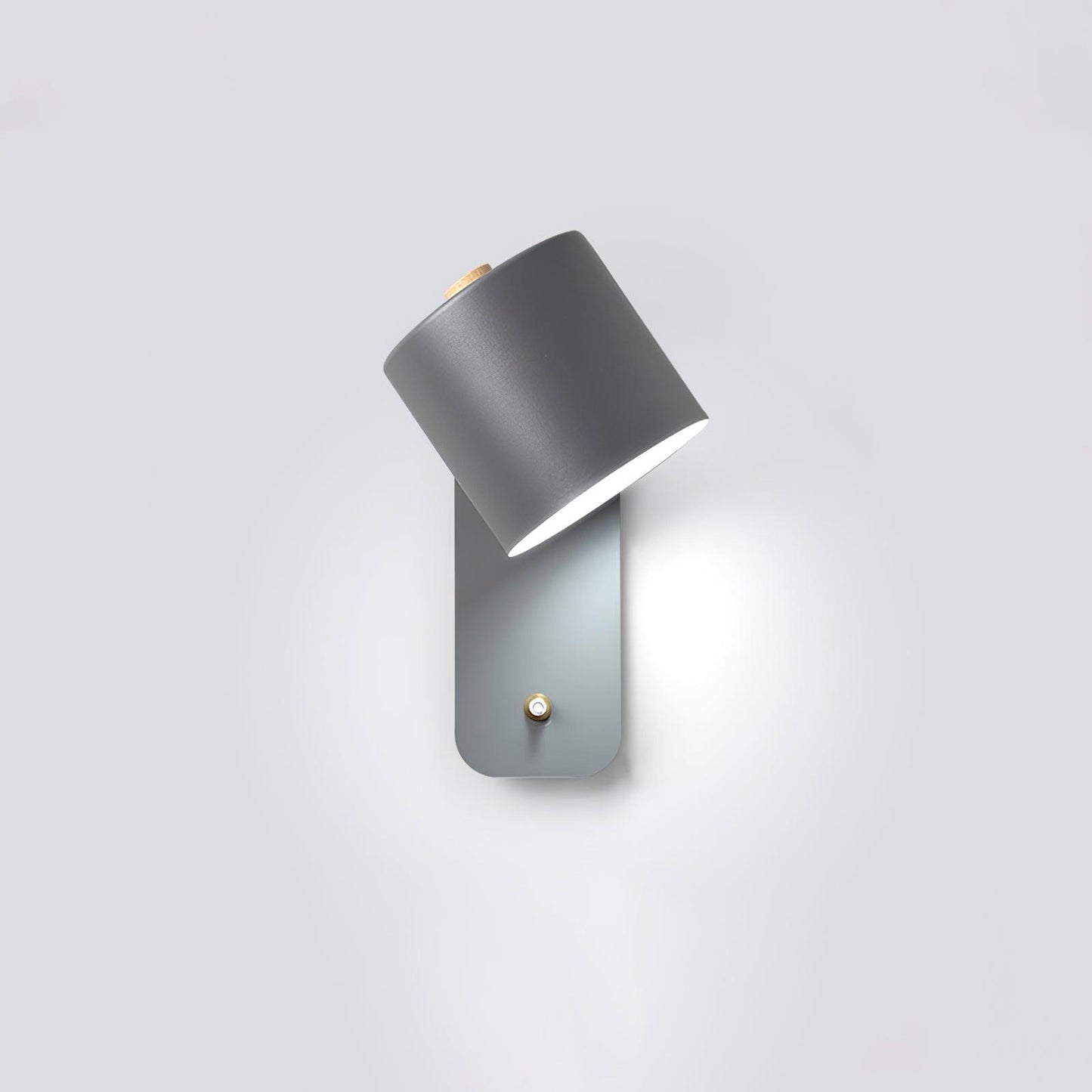 Astra Rotating Wall Light