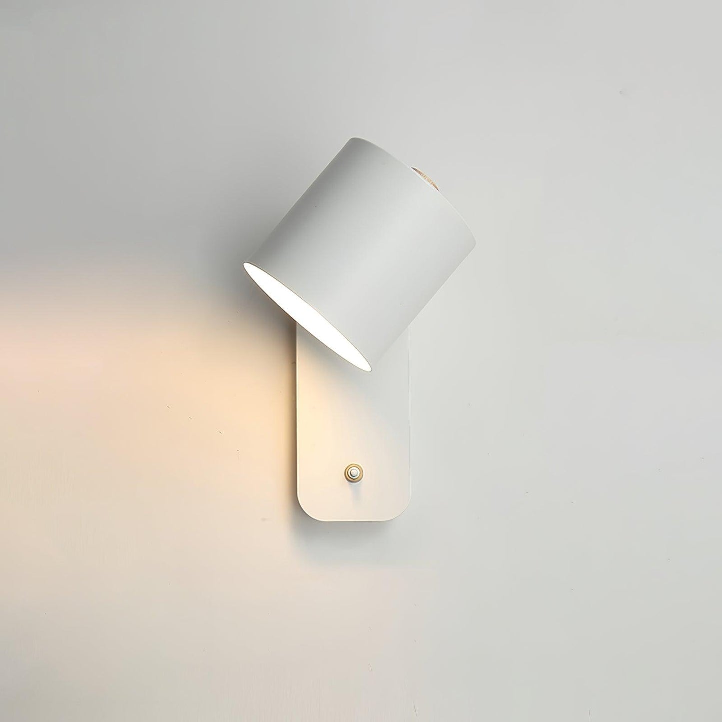 Astra Rotating Wall Light