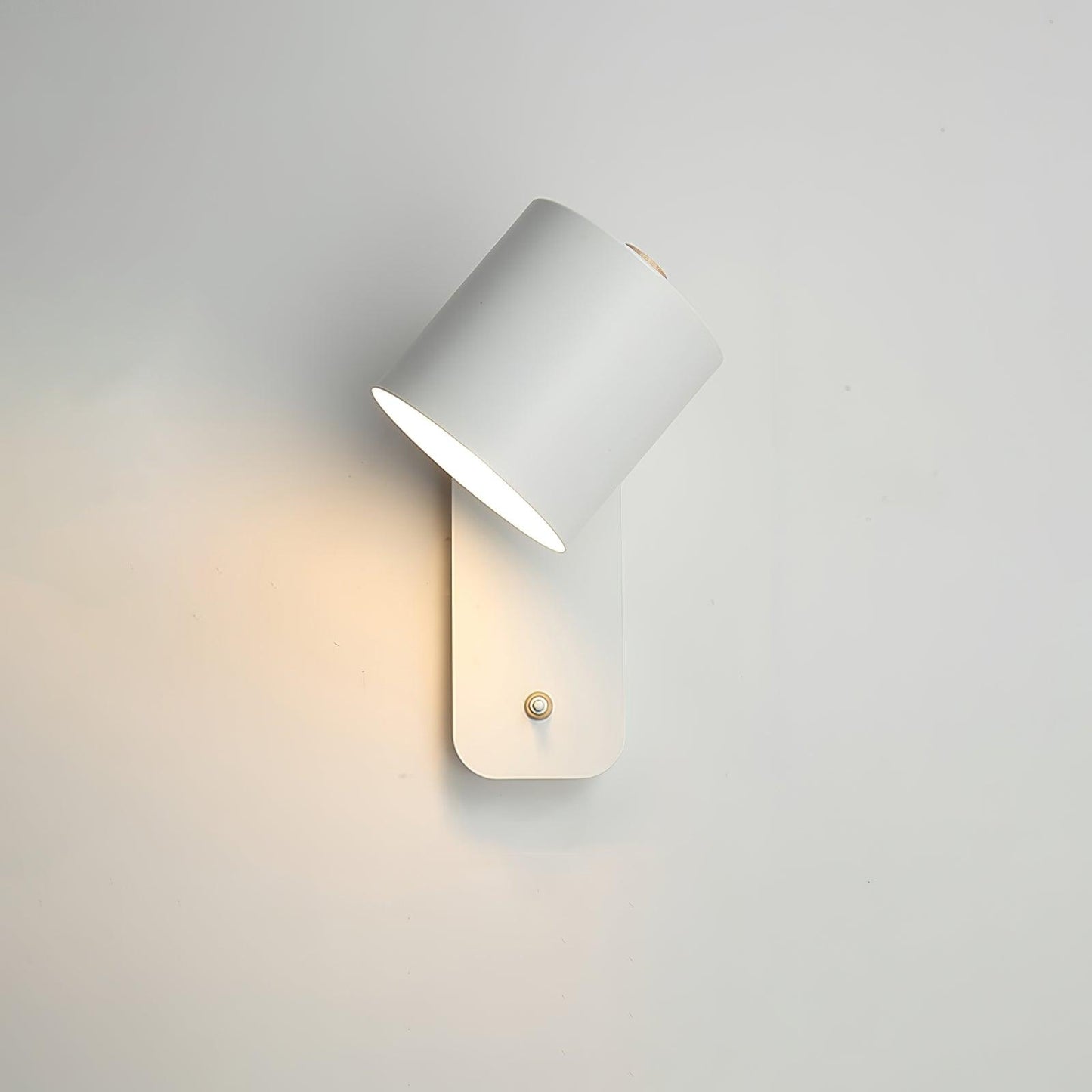 Astra Rotating Wall Light