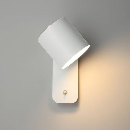 Astra Rotating Wall Light