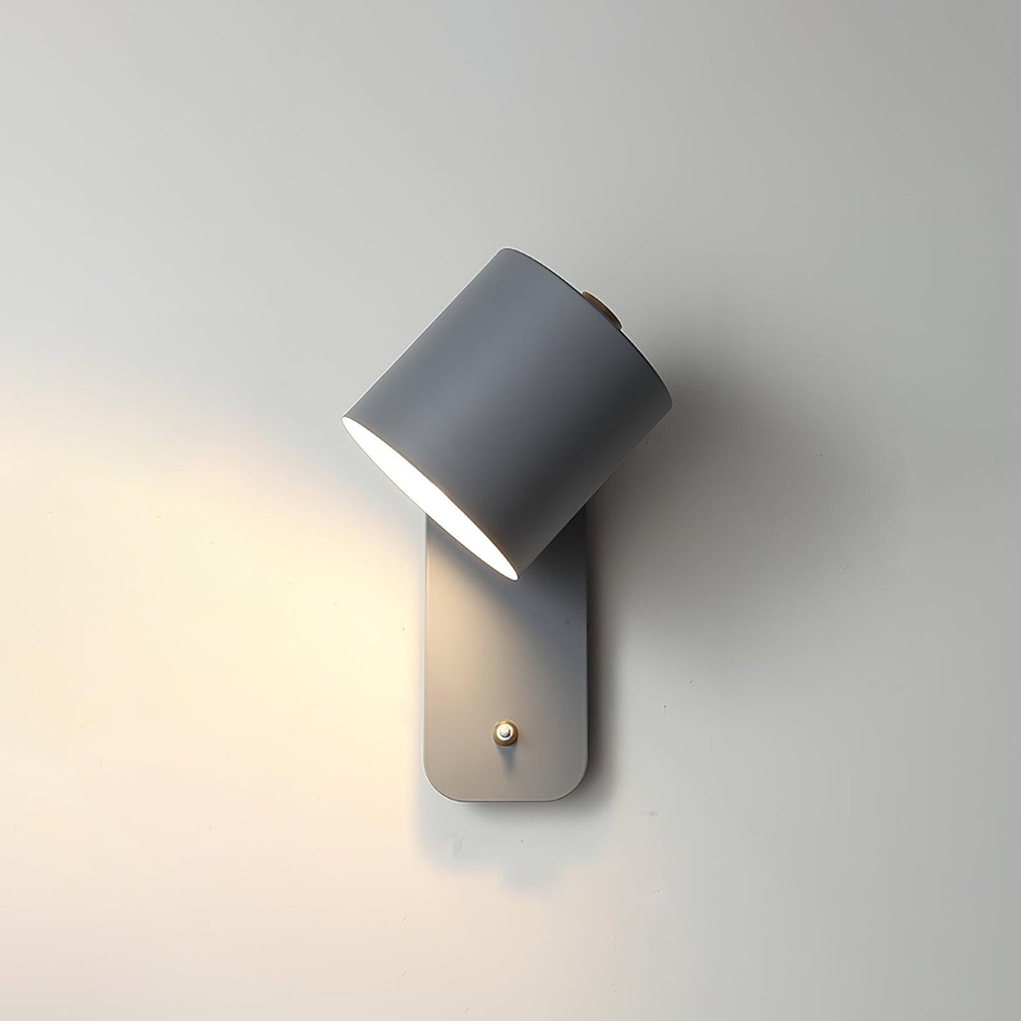 Astra Rotating Wall Light
