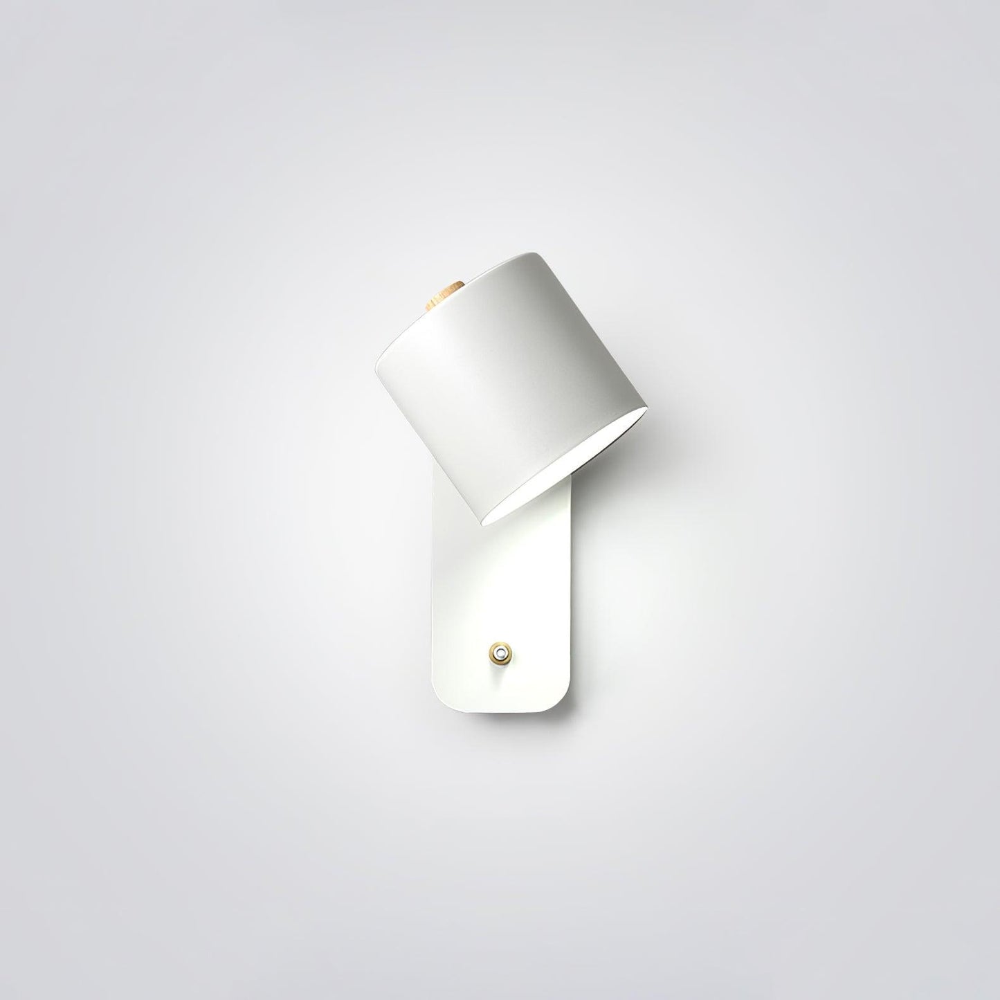 Astra Rotating Wall Light